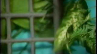 ცუდი მოწიფული საყვარელი შავი, თეთრი უფასო porn videos თინეიჯერებისთვის